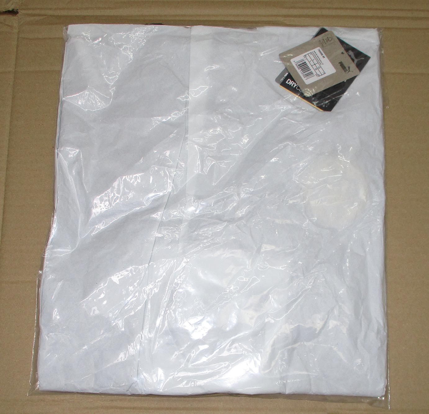 BVB Borussia Dortmund Torwart Trikot 2021/22 Cordovan Puma