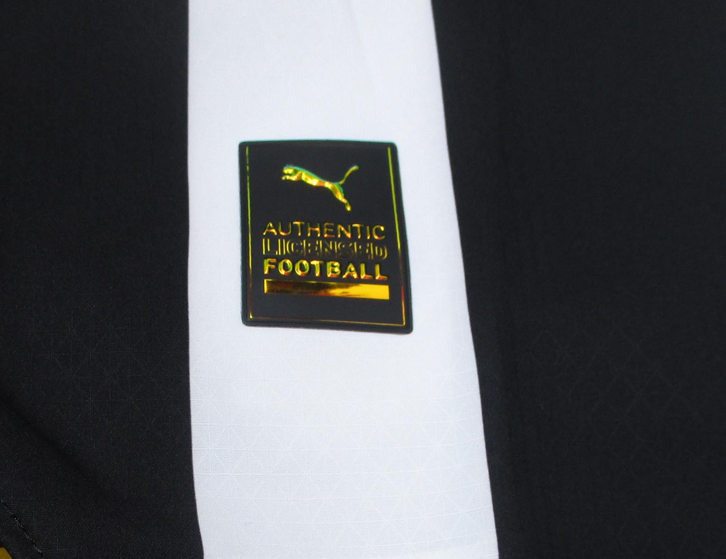 Borussia Mönchengladbach Trikot Puma 2023/24 Player Issue