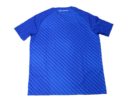 Dinamo Zagreb Trikot 2024/25 Home Castore
