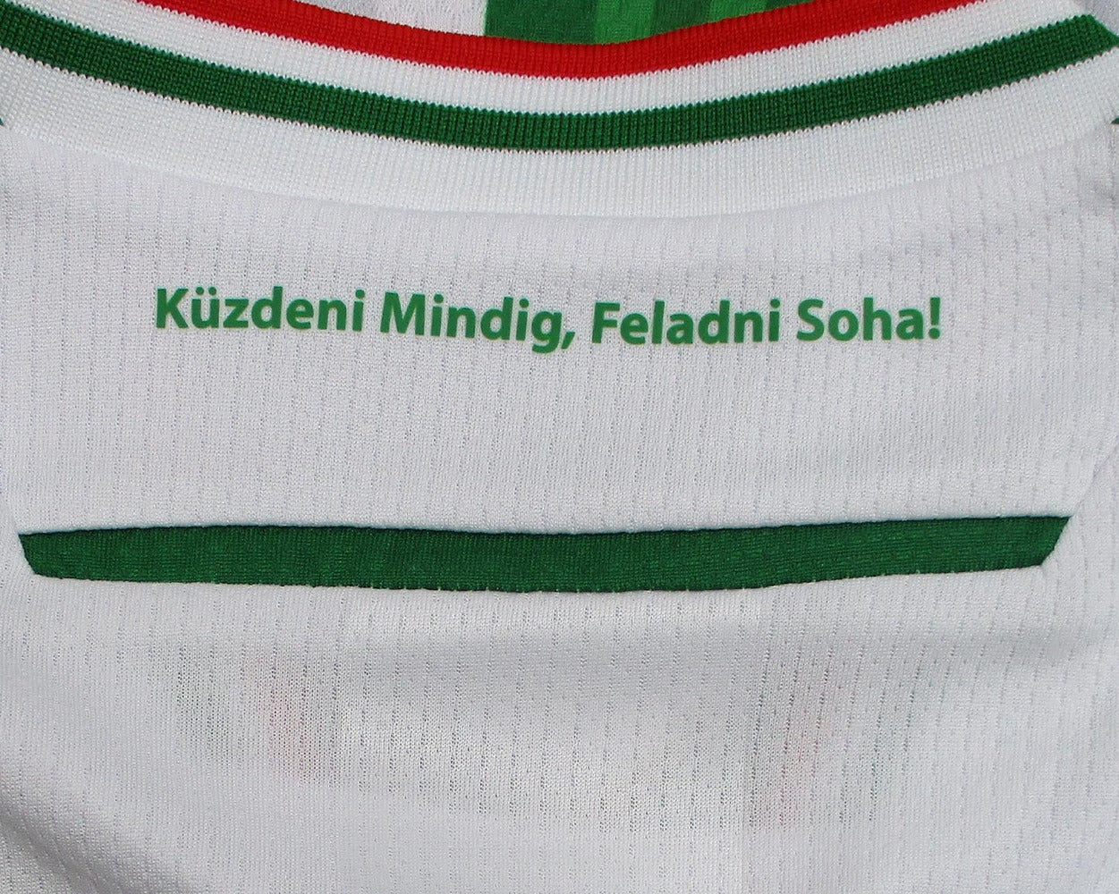 Grün-weiß gestreiftes Ferencváros Budapest Heimtrikot 2024 2025 in Kindergröße von Macron mit gesticktem Vereinswappen – Nacken Details.