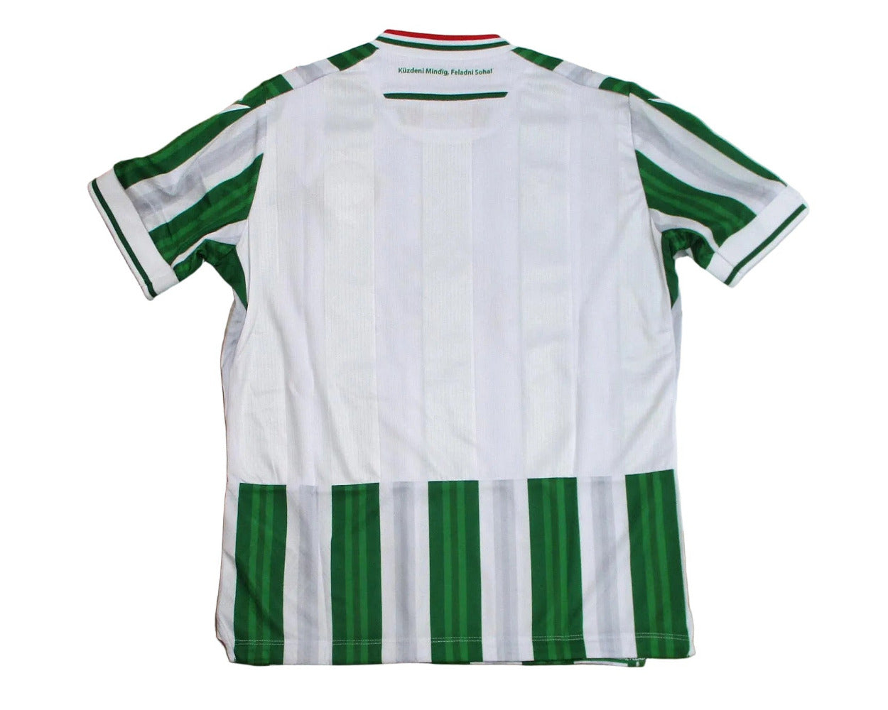 Grün-weiß gestreiftes Ferencváros Budapest Heimtrikot 2024 2025 in Kindergröße von Macron mit gesticktem Vereinswappen – Rückansicht.