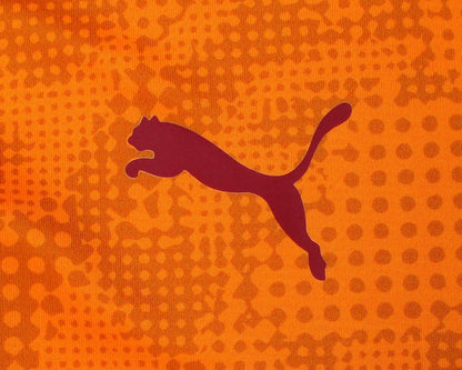 Puma Galatasaray Istanbul Trainingstrikot 2024/25 in Intense Orange ohne Sponsor. Puma Logo.