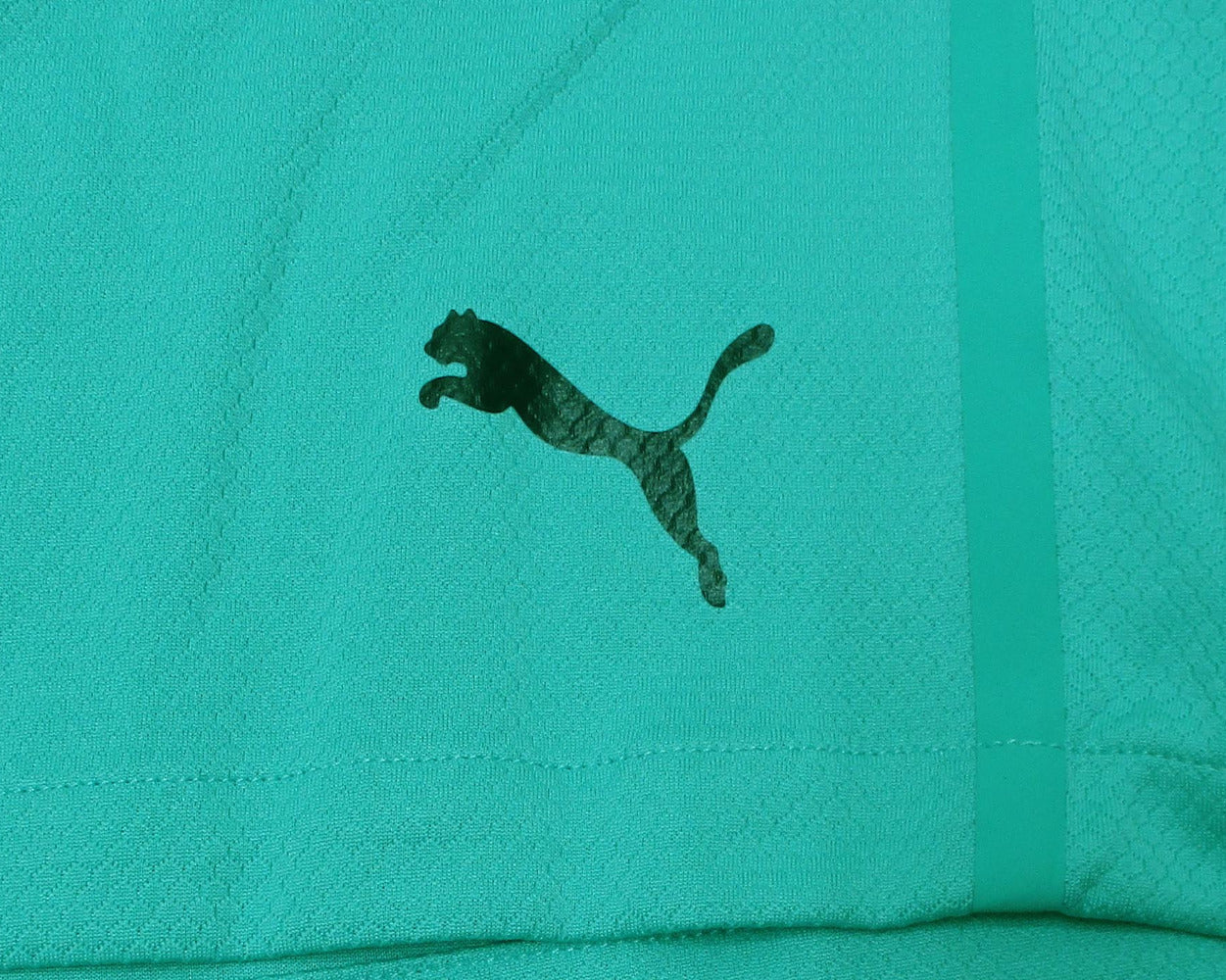 Österreich Nationalmannschaft Player Shorts Türkis 2019 2020 Puma Damen Fußballshorts Original Neu, Detailansicht Puma Logo.