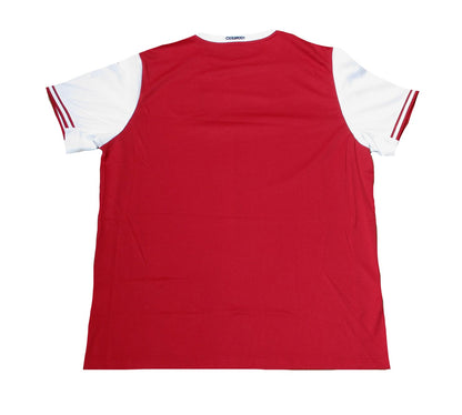 Österreich ÖFB Heimtrikot 2020/21 – Herren Fußballtrikot von Puma