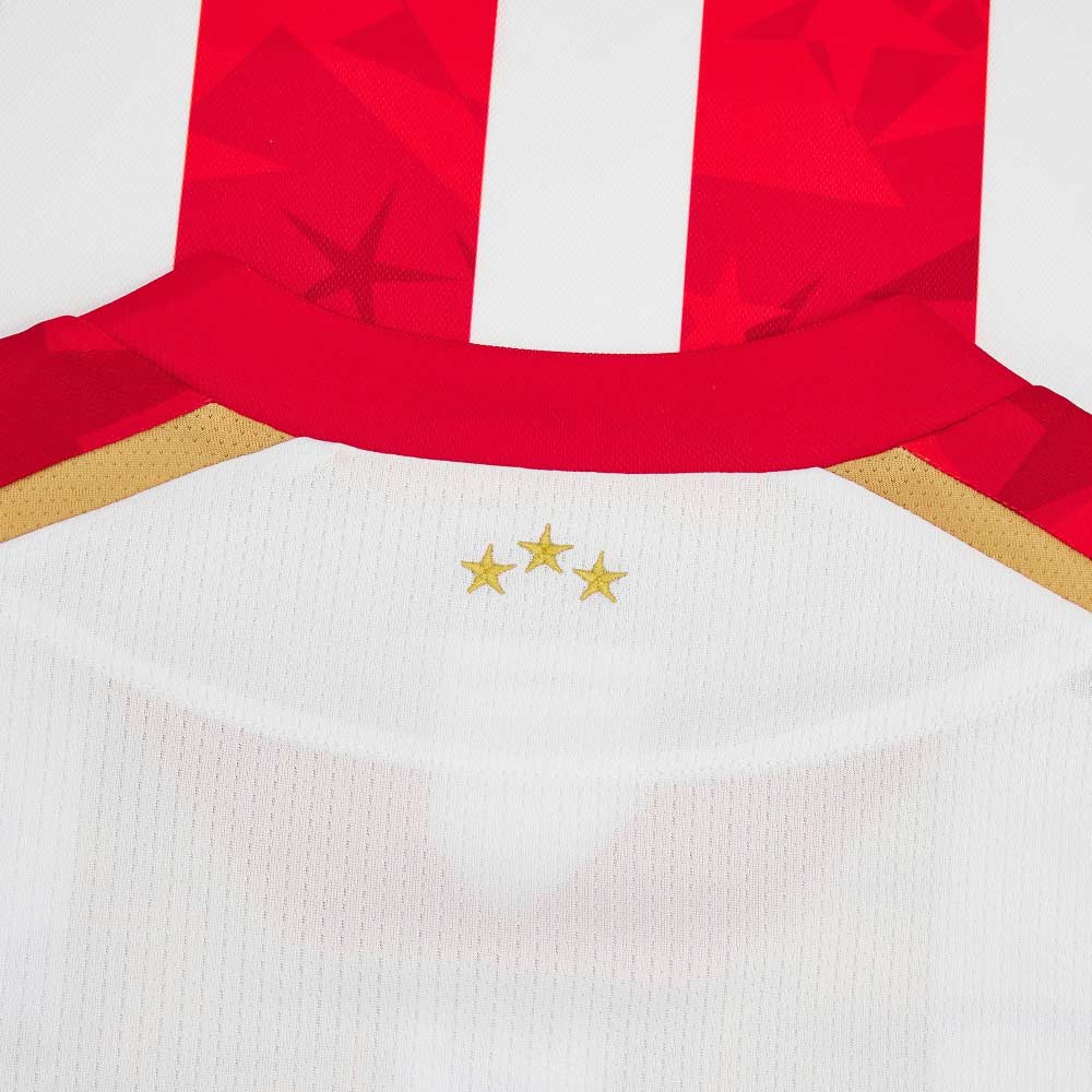 Roter Stern Belgrad Trikot Home 2024/25 Macron. Offizielles Fußballtrikot in Herrengröße. Detailansicht Nacken.